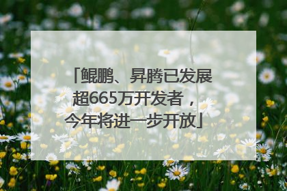 鲲鹏、昇腾已发展超665万开发者，今年将进一步开放