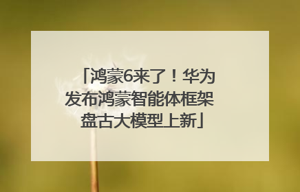鸿蒙6来了！华为发布鸿蒙智能体框架 盘古大模型上新
