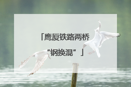 鹰厦铁路两桥“钢换混”