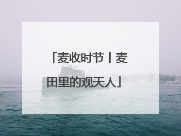 麦收时节丨麦田里的观天人