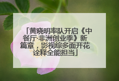 黄晓明率队开启《中餐厅·非洲创业季》新篇章，影视综多面开花诠释全能担当