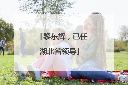 黎东辉，已任湖北省领导