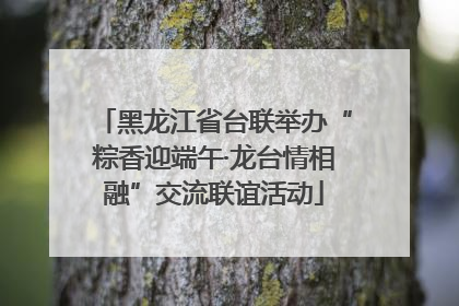 黑龙江省台联举办“粽香迎端午·龙台情相融”交流联谊活动