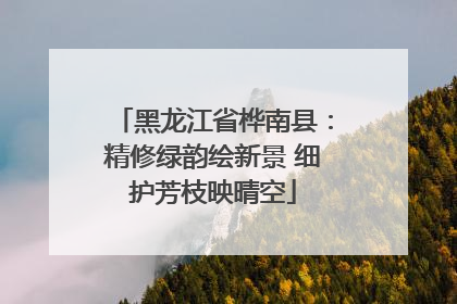 黑龙江省桦南县：精修绿韵绘新景 细护芳枝映晴空