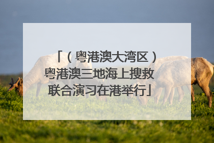 （粤港澳大湾区）粤港澳三地海上搜救联合演习在港举行