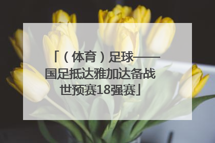 （体育）足球——国足抵达雅加达备战世预赛18强赛