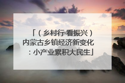 （乡村行·看振兴）内蒙古乡镇经济新变化：小产业累积大民生