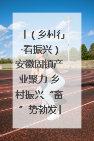 （乡村行·看振兴）安徽固镇产业聚力 乡村振兴“畜”势勃发