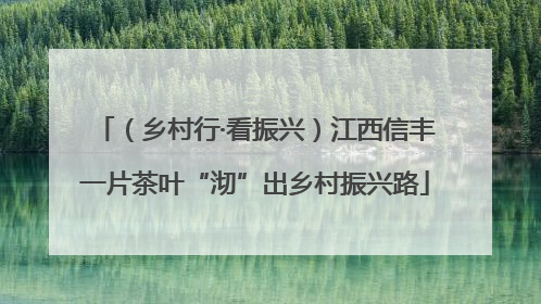 （乡村行·看振兴）江西信丰一片茶叶“沏”出乡村振兴路