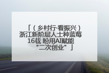 （乡村行·看振兴）浙江新阶层人士种蓝莓16载 盼用AI赋能“二次创业”