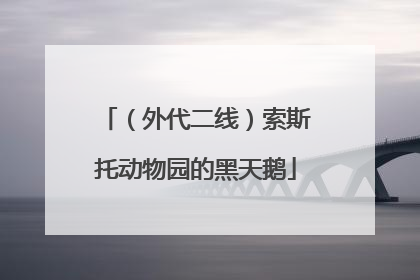 （外代二线）索斯托动物园的黑天鹅