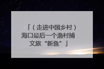 （走进中国乡村）海口最后一个渔村捕文旅“新鱼”