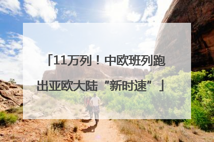 11万列！中欧班列跑出亚欧大陆“新时速”