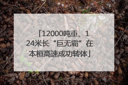 12000吨重、124米长“巨无霸”在本桓高速成功转体