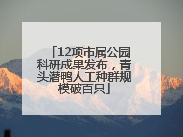 12项市属公园科研成果发布，青头潜鸭人工种群规模破百只