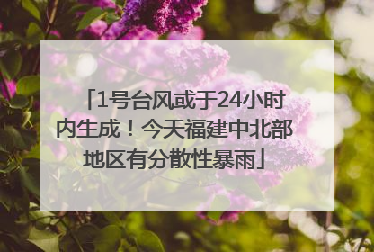 1号台风或于24小时内生成！今天福建中北部地区有分散性暴雨