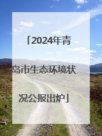 2024年青岛市生态环境状况公报出炉