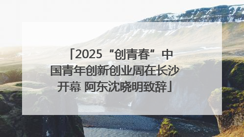 2025“创青春”中国青年创新创业周在长沙开幕 阿东沈晓明致辞