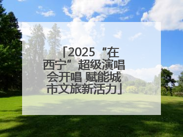 2025“在西宁”超级演唱会开唱 赋能城市文旅新活力