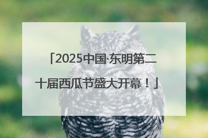 2025中国·东明第二十届西瓜节盛大开幕！