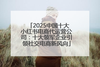 2025中国十大小红书电商代运营公司：十大领军企业引领社交电商新风向