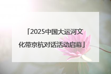 2025中国大运河文化带京杭对话活动启幕