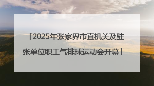 2025年张家界市直机关及驻张单位职工气排球运动会开幕