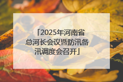 2025年河南省总河长会议暨防汛备汛调度会召开