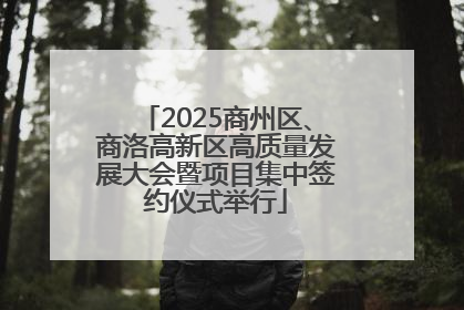 2025商州区、商洛高新区高质量发展大会暨项目集中签约仪式举行