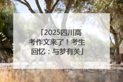 2025四川高考作文来了！考生回忆：与梦有关