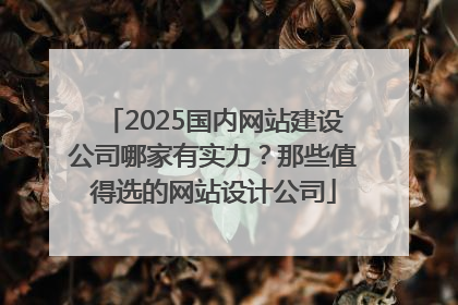 2025国内网站建设公司哪家有实力？那些值得选的网站设计公司