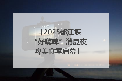 2025都江堰“好嗨啤”消夏夜啤美食季启幕
