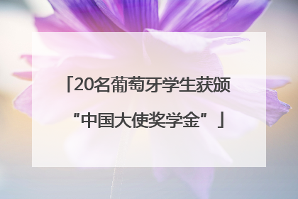20名葡萄牙学生获颁“中国大使奖学金”