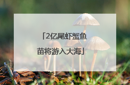 2亿尾虾蟹鱼苗将游入大海