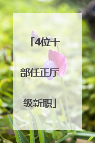 4位干部任正厅级新职