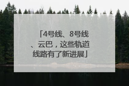 4号线、8号线、云巴，这些轨道线路有了新进展