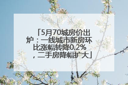 5月70城房价出炉:一线城市新房环比涨幅转降0.2%,二手房降幅扩大