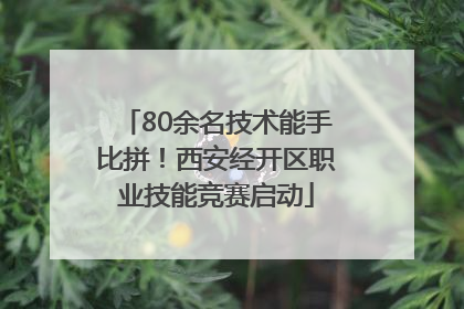 80余名技术能手比拼！西安经开区职业技能竞赛启动