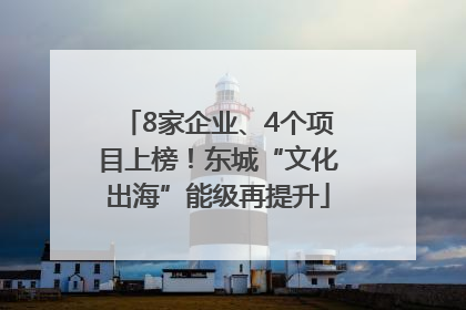 8家企业、4个项目上榜！东城“文化出海”能级再提升