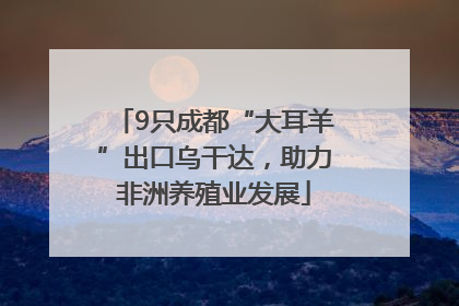9只成都“大耳羊”出口乌干达，助力非洲养殖业发展