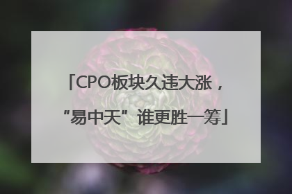 CPO板块久违大涨，“易中天”谁更胜一筹