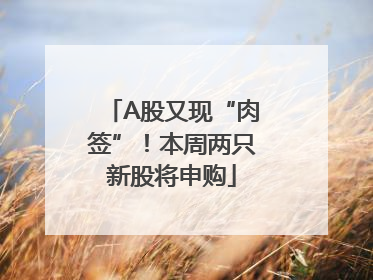 A股又现“肉签”！本周两只新股将申购