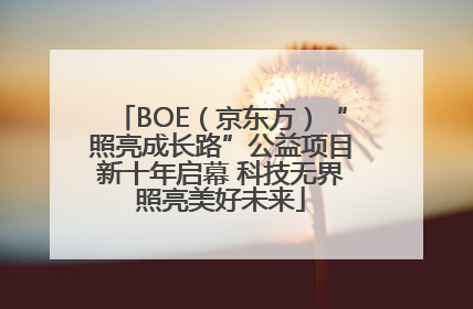 BOE（京东方）“照亮成长路”公益项目新十年启幕 科技无界照亮美好未来