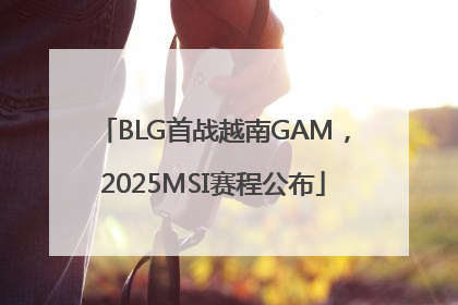 BLG首战越南GAM，2025MSI赛程公布