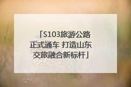 S103旅游公路正式通车 打造山东交旅融合新标杆