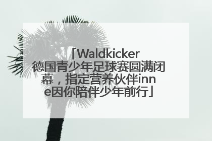Waldkicker德国青少年足球赛圆满闭幕，指定营养伙伴inne因你陪伴少年前行